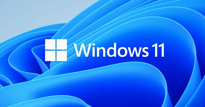 Logo de windows 11