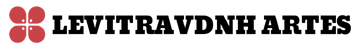 Logo footer